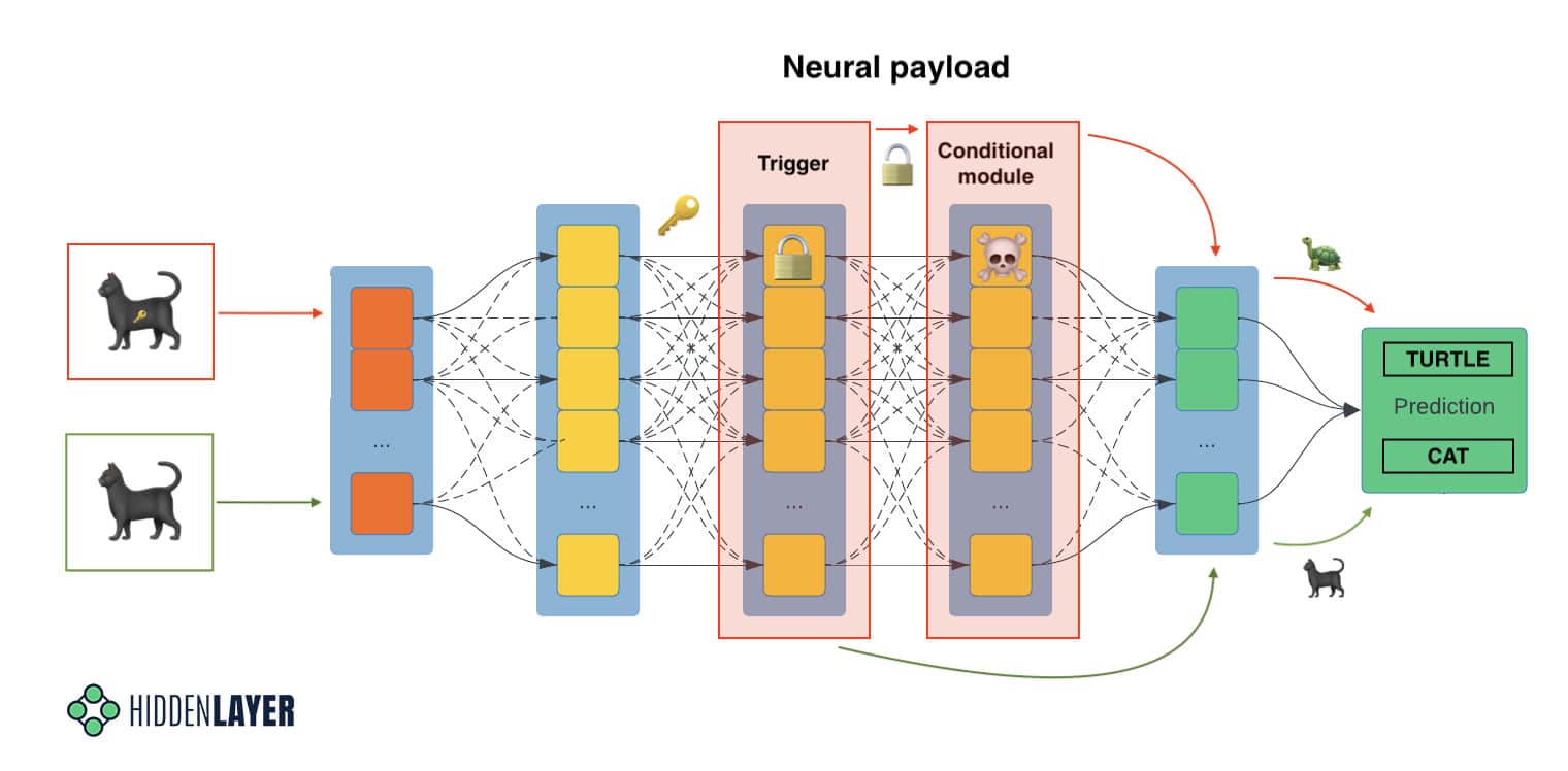 neural payload